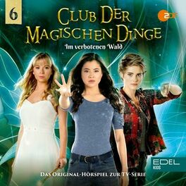 Album cover of Folge 6: Im verbotenen Wald (Das Original-Hörspiel zur TV-Serie)