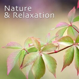 Album cover of Nature & Relaxation