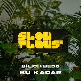 Album cover of Bu Kadar Mı (Akustik)