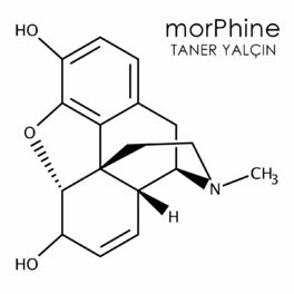 Album cover of Morphine