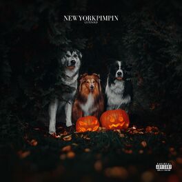 Album cover of New York Pimpin (feat. Snoop Dogg, Kool G Rap & JUVENILE) [Extended]