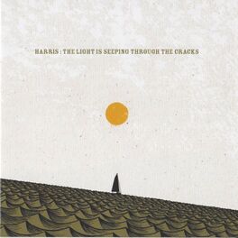 Album cover of The Light Is Seeping Through the Cracks
