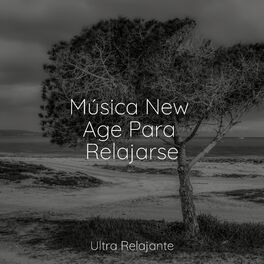 Album cover of Música New Age Para Relajarse
