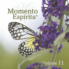 Album cover of Momento Espírita, Vol.11