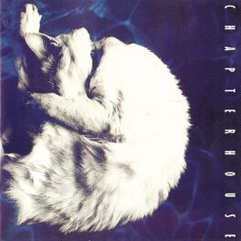 Album cover of Whirlpool (Expanded Edition)