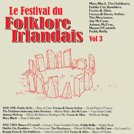 Album cover of Le Festival du Folklore Irlandais, Vol. 3