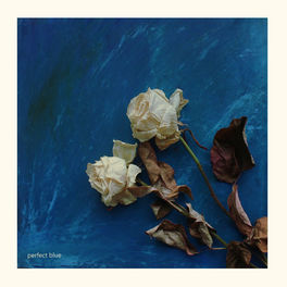 Album cover of Превосходный синий