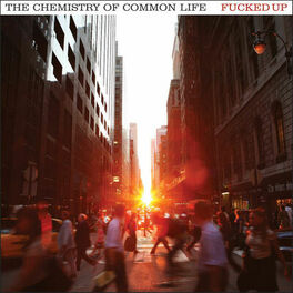 Album cover of The Chemistry Of Common Life