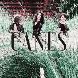 Album cover of An cunta che