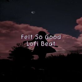 Album cover of Felt So Good - Lofi Beat
