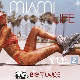 Album cover of Miami Life, Vol. 2