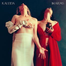 Album cover of In Arms