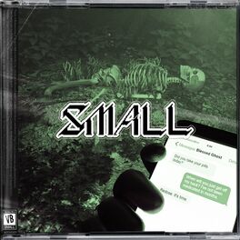 Album cover of Small