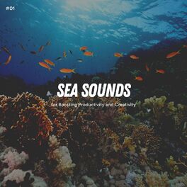 Album cover of #01 Sea Sounds for Boosting Productivity and Creativity