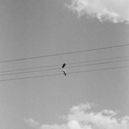Album cover of Another Day