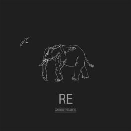 Album picture of RE