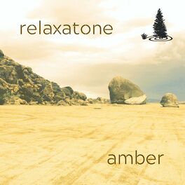 Album cover of Amber