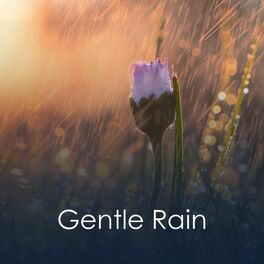 Album cover of Gentle Rain
