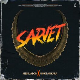 Album cover of Sarvet