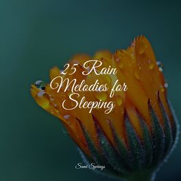 Album cover of 25 Rain Melodies for Sleeping