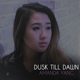 Album cover of Dusk Till Dawn