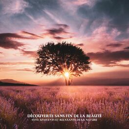 Album cover of Découverte sans fin de la beauté: Sons apaisants et relaxants de la nature