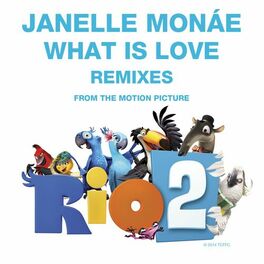 Album cover of What Is Love Remixes