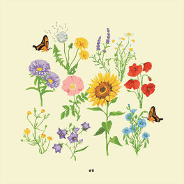 Album cover of we