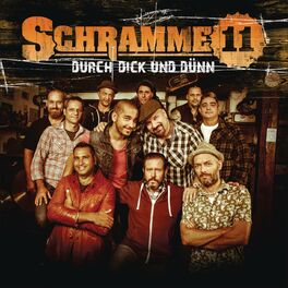 Album cover of Durch dick und dünn
