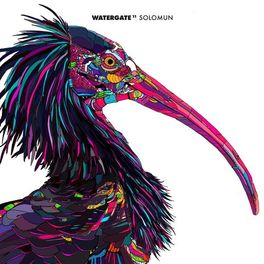 Album cover of Watergate 11 - mixed by Solomun