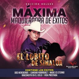 Album cover of Edicion Deluxe Maxima Maquiladora De Exitos