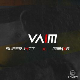 Album cover of Vaim (feat. Gminxr)