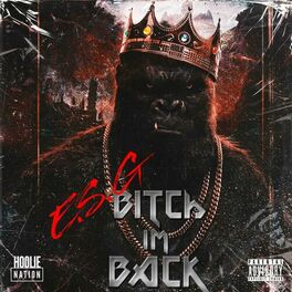 Album cover of Bitch Im Back