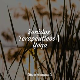 Album cover of Sonidos Terapéuticos | Yoga