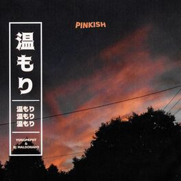 Album cover of PINKISH (feat. BJ Maldonado)