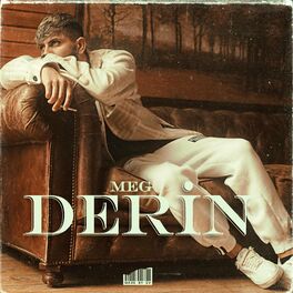 Album cover of Derin