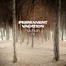 Album cover of Permanent Vacation Safari 4
