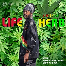 Album cover of Life Herb