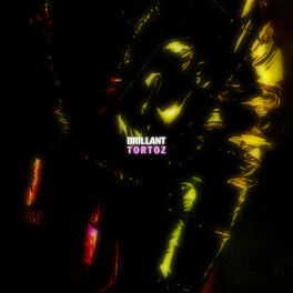 Album cover of Brillant