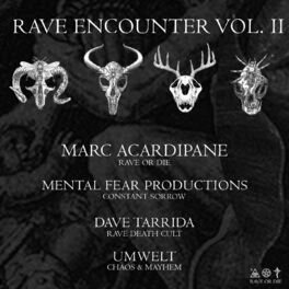 Album cover of Rave Encounter, Vol. 2