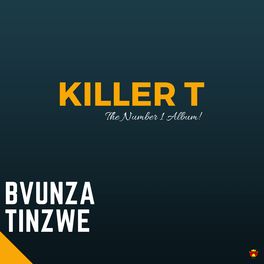 Album cover of Bvunza Tinzwe