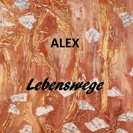 Album cover of Lebenswege