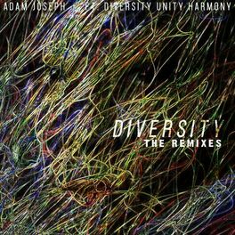 Album cover of Diversity: The Remixes