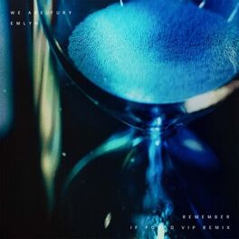 Album cover of Remember - if found VIP Remix