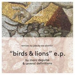 Album cover of Birds & Lions EP