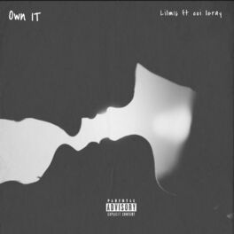 Album cover of Own it