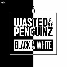 Album cover of Black & White