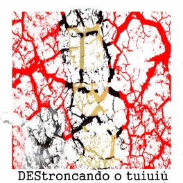 Album cover of Destroncando o Tuiuiú
