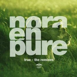 Album cover of True - The Remixes