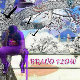 Album cover of BRAVO FLOW